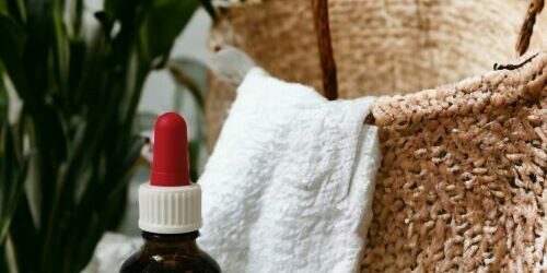 huile d'amandon prune bio